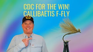 How to Tie a CDC Dry Fly  Callibaetis FFly [upl. by Yelekreb]