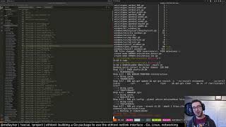 ethtool part 1 building a Go package to use the ethtool netlink interface January 9 2021 [upl. by Attena]