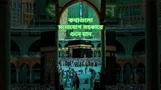 Delowar Hossain Saidi 💦 delowarhossainsaidi islamicstatus islamicvideo [upl. by Esinwahs]