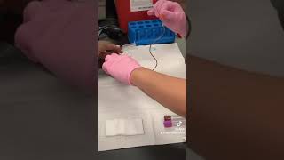 Butterfly wsyringe method phlebotomy medicaleducation mzruizinstructor [upl. by Romola]