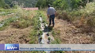 Regione Siciliana fondi per modernizzare le imprese agricole [upl. by Allana]