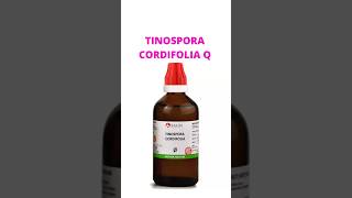 Tinospora Cordifolia Q spermcount immunity wbccount saishreehomoeo [upl. by Iluj]