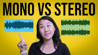 Mono vs Stereo Explained  Video Editing Tutorial [upl. by Ahsiekar]