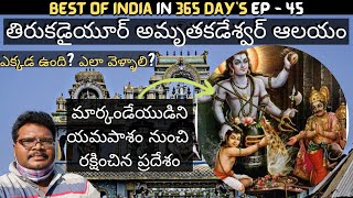 Thirukadaiyur Amirthakadeswarar temple full tour in telugu  Thirukadaiyur information  Tamilnadu [upl. by Kcoj671]