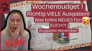 SPAREN Wochenabschluss 1 Novemberbudget 😱 NEUES 🥳 TEURER Start umschlagmethode budgetplanung vlog [upl. by Harman237]