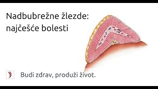 Nadbubrežne žlezde najčešće bolesti [upl. by Salter7]