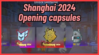 Shanghai 2024 Major Sticker Capsule Opening  CS2 [upl. by Yug683]