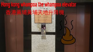 Elevator at hong kong the whampoa from whampoa 香港黃埔黃埔天地升降機 [upl. by Elleiram]