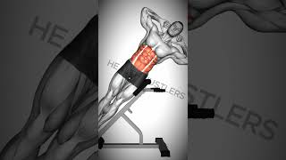 3 exercise for Abs With Dumbbell At Home and Gym shorts workoutmotivation absworkout abs [upl. by Alake]