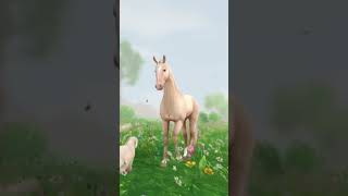 Violet Flowergarden’s Horse Flora 💜 starstable starstableonline starfam [upl. by Ahseenak384]