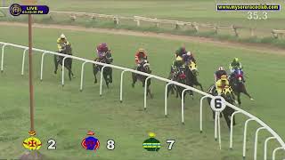 THALAIVAA wins The Sangam Plate Div2 [upl. by Nnazus]