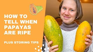 How To Tell When Papayas Are Ripe  Storing Tips [upl. by Ynohtnael]