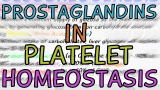 How are Prostaglandins involved in Platelet Homeostasis [upl. by Godfry33]