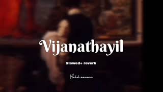 Vijanathayil slowed reverb muhdameenx [upl. by Dnaltiac]