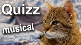 QUIZZ DU CHAT MUSICAL  PAROLE DE CHAT [upl. by Airla280]