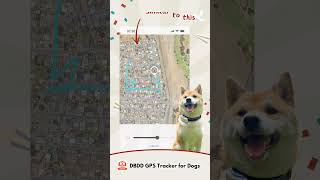 DBDD Gps Tracker pairs perfectly with your dogdogs dbdd gps tracker dog puppy funny pets [upl. by Haletta947]