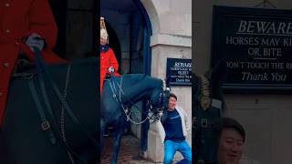 Royal Guard Horse PULLS TOURIST at Horse Guards  Horse Guards parade  Royal guard  King’s Guard [upl. by Thin]