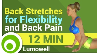 Back Stretches for Flexibility and Back Pain [upl. by Bounds]