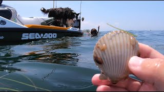 Scalloping with the dogs Homosassa Florida 2023 [upl. by Chansoo]