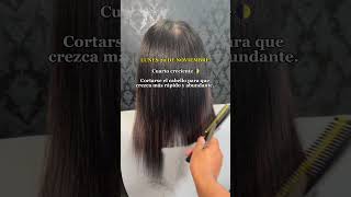 CALENDARIO LUNAR NOVIEMBRE 2023  que días cortar tu cabello para que crezca más Rapido haircut [upl. by Nylia]