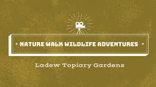 Ladew Topiary Gardens Presents Nature Walk Wildlife Adventures  Spring Day at the Quarry Pond [upl. by Nims]