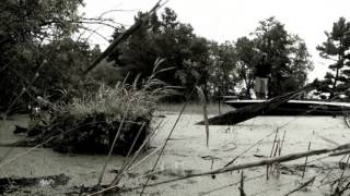 Clark Wendlandt Bass Fishing on Lake Livingston [upl. by Monti]