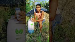 আমন ধানের ল্যাদা ও বড়ো পোকার ওষুধ paddy rice মাজরা পামরিপোকা farming krishivabna ধান [upl. by Krik46]