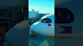 CEBU PACIFIC A330neo plane aviation flying flight airlines aircraft airport travel trip [upl. by Perce]