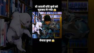 इस प्यारे से कुत्ते के बच्चे को उस आदमी ने चुरा लिया 😱  short anime cartoon dog [upl. by Mich]