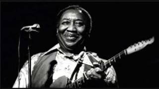 Muddy Waters  Lonesome Road Blues [upl. by Ellimaj331]