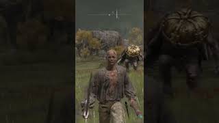 Raiding Fort Haight Part 2  Elden Ring shorts eldenring gaming [upl. by Fleck]