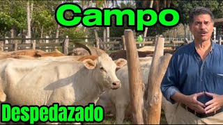 Amlo Destrozó el Campo TAMBIÉN🐄Primero los PobresJodidoscon Dádivas y Sin Producir👨🏼‍🌾 [upl. by Sylera853]