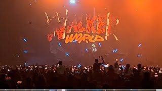 Alan Walker Intro  Sunburn Festival Kolkata India 🇮🇳 2024 [upl. by Olia]