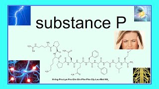 substance P [upl. by Gallager]