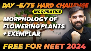 Morphology of Flowering Plants  Top 250 MCQs  Day 575  75 Hard Challenge  NEET 2024 [upl. by Sjoberg]