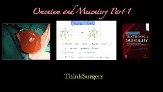 Omentum and Mesentery Part 1 [upl. by Hammad]