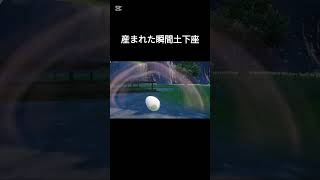 【ポケモンSV】タマゴ厳選してたらジュラルドンが土下座しながら産まれてきた【国際孵化】 [upl. by Sue]