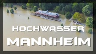 HOCHWASSER MANNHEIM JULI 2021 Drohnenvideo  MAAB Aufnahmen vom 16072021 hochwasser mannheim [upl. by Ackler]