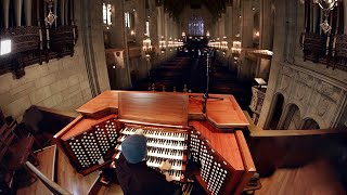 Pipe Organ An instrument the size of a building [upl. by Griswold]