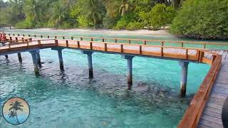 Kuramathi MALDIVES Resort 🌴🌴🌴 FULL Resort HD TOUR  FHD Vlog Maldives [upl. by Radcliffe]