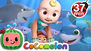 Baby Shark More Nursery Rhymes amp Kids Songs Cocomelon ABCkidTV [upl. by Eisnil768]