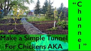 DIY Chicken Tunnel AKA quotCHUNNELquot [upl. by Aidekal]