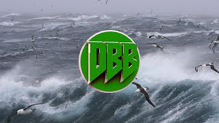 AronChupa  Im an Albatraoz Bass Boosted 1080p [upl. by Eustasius]