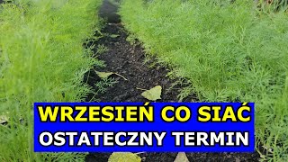 Wrzesień  Ostateczny Termin na Siewy tych Warzyw Co siać i sadzić we Wrześniu Kalendarz Ogrodnika [upl. by Netsryk530]