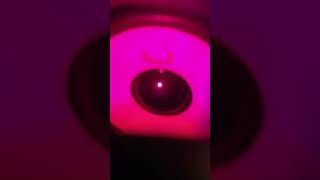 LED Speaker Light Show epilepsy warning [upl. by Petty]