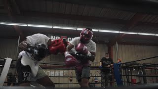 LAMONT ROACH TRAINING HIGHLIGHTS ▶ BOXING ● SPARRING ● CONDITIONING [upl. by Llecrup737]