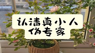 伪专家：1、过度宣扬民族主义，引导中国和周边国家冲突。他们从来不谈人民的幸福，不谈老百姓的福利。2、把经济问题归因于人口问题，闭口不谈贫富分化，不谈资本剥削。 [upl. by Trebma]