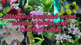 Easy Rooting Method of Orchid  new Orchid seedlings to grow faster  garden dreams [upl. by Suter]