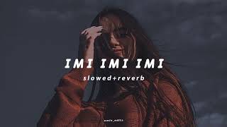 Tayc Ny Pense Plus imi imi imi Slowed Reverb  Lofi Song [upl. by Skilken]