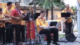 Hawaiian Steel Guitar  quotHonolulu Marchquot [upl. by Llyrat]